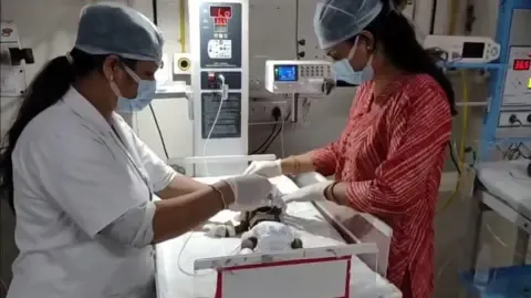 Newborn Placed Alive in the Country Struggles for Existence